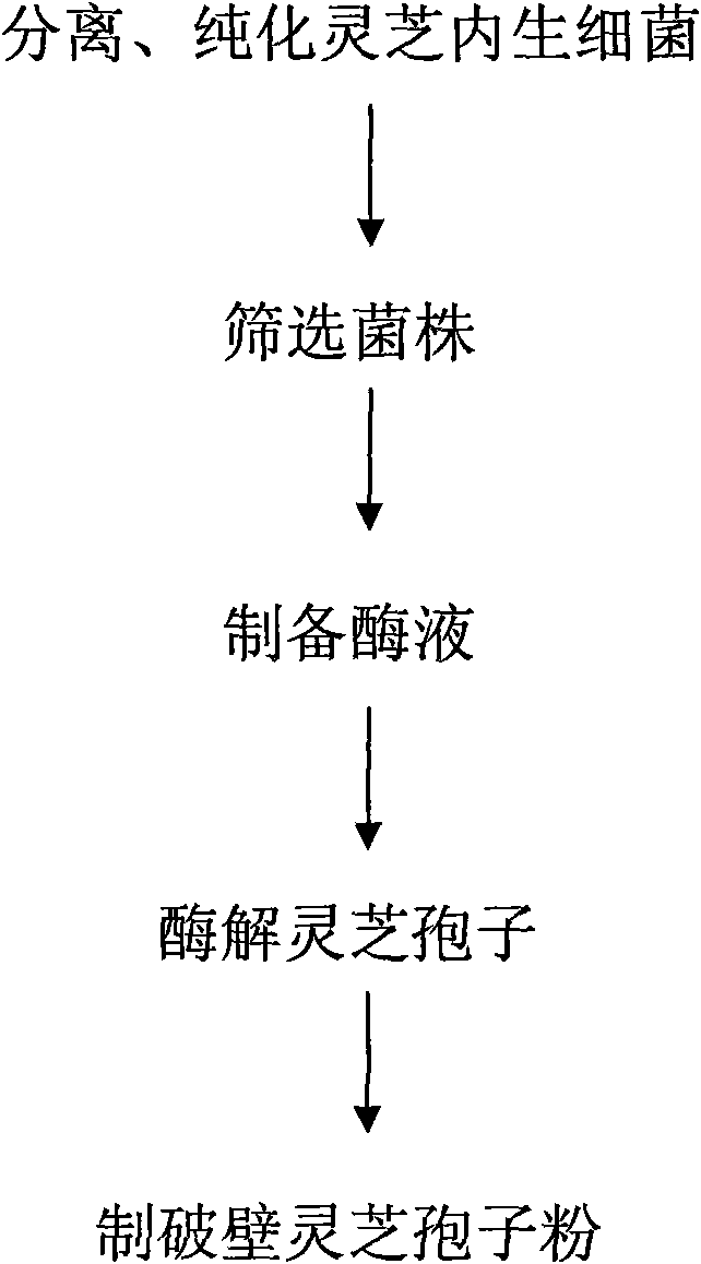 Wall-breaking method of ganoderma lucidum spore