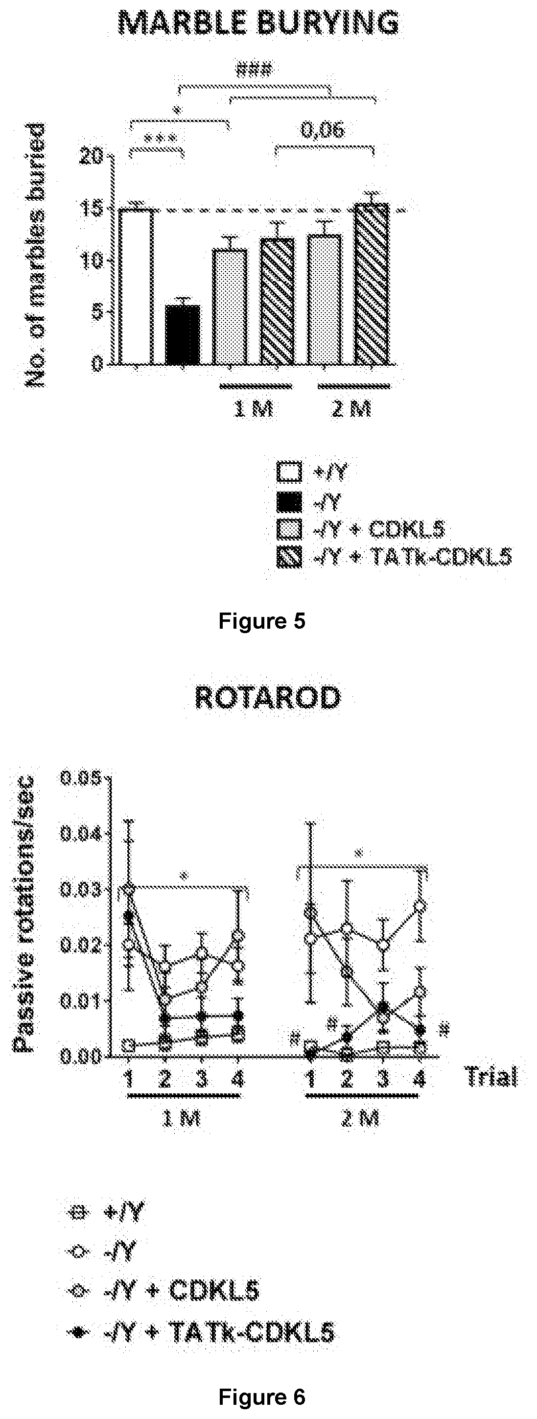 New gene therapy constructs