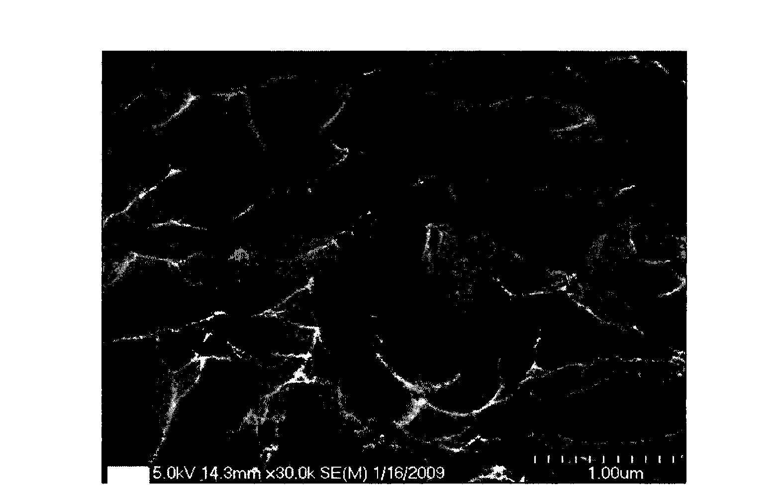 Method for processing back surface of wafer