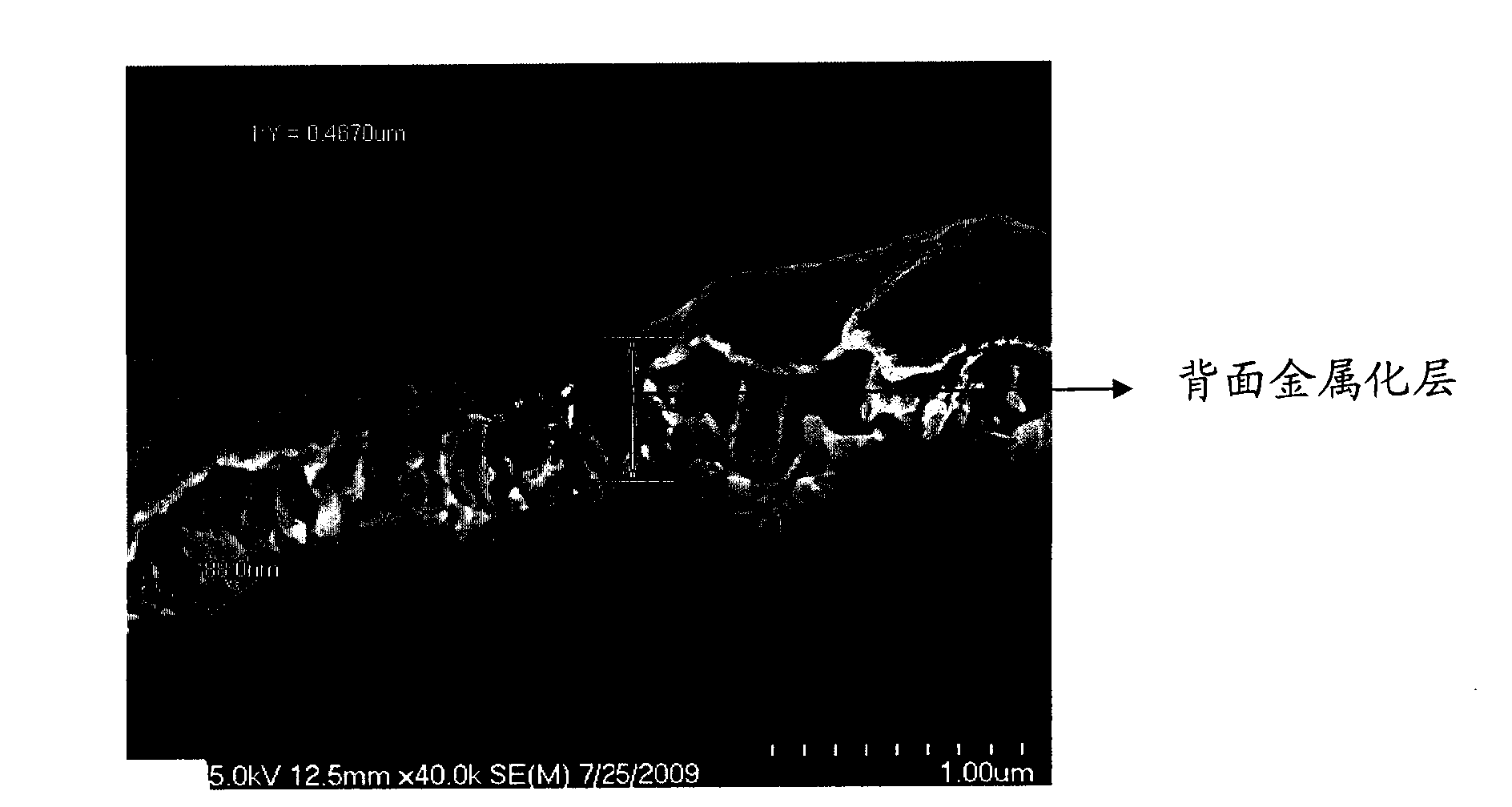 Method for processing back surface of wafer