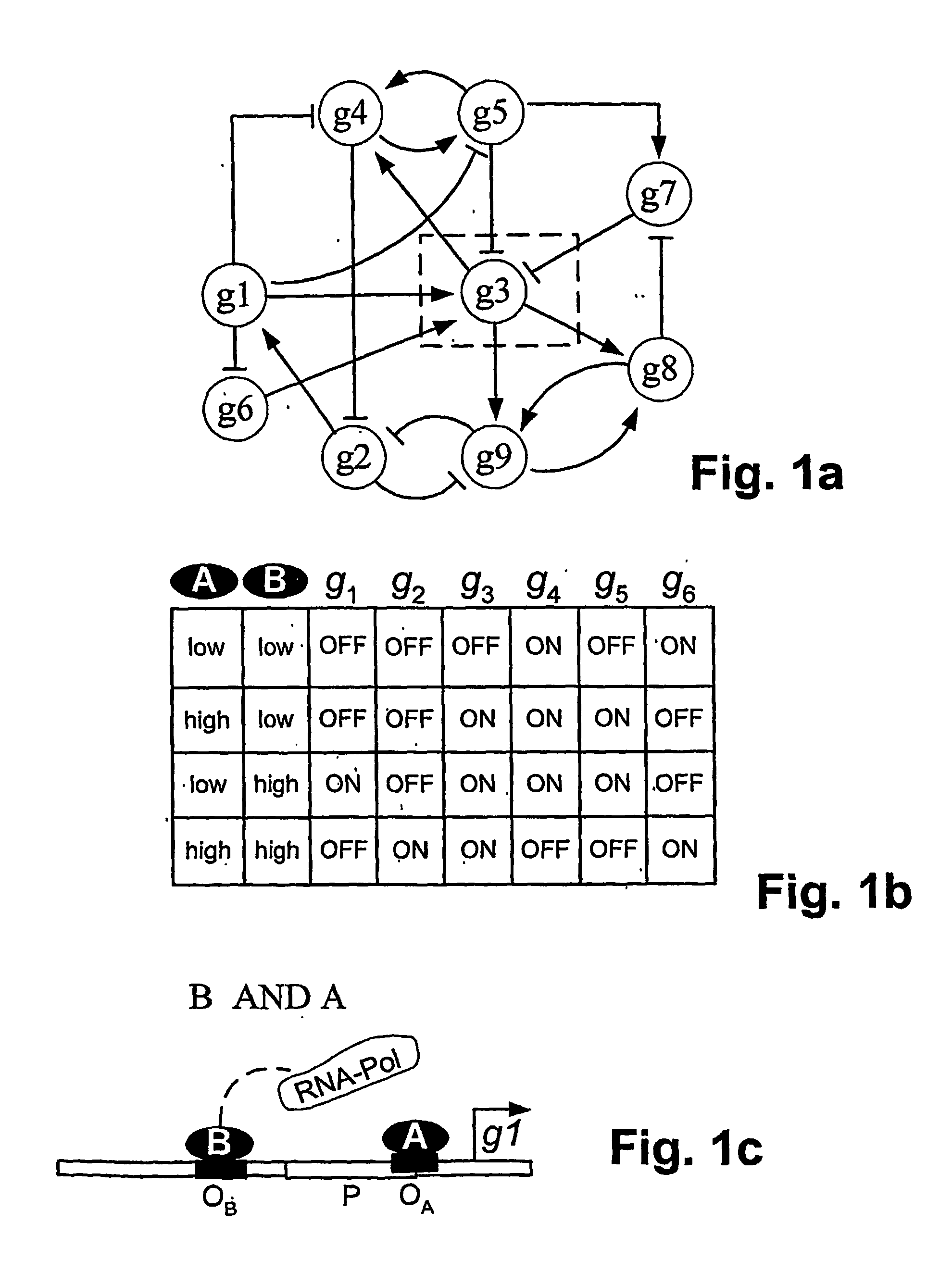 Genetic computing using combinatorial transcription control