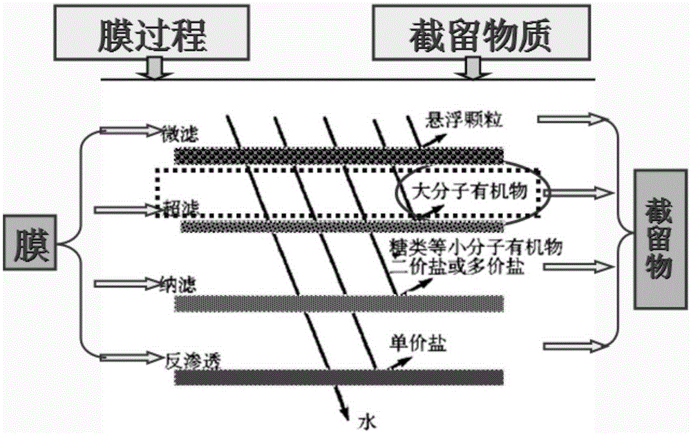 A kind of method adopting ultrafiltration and nanofiltration to prepare water-soluble chitosan oligosaccharide