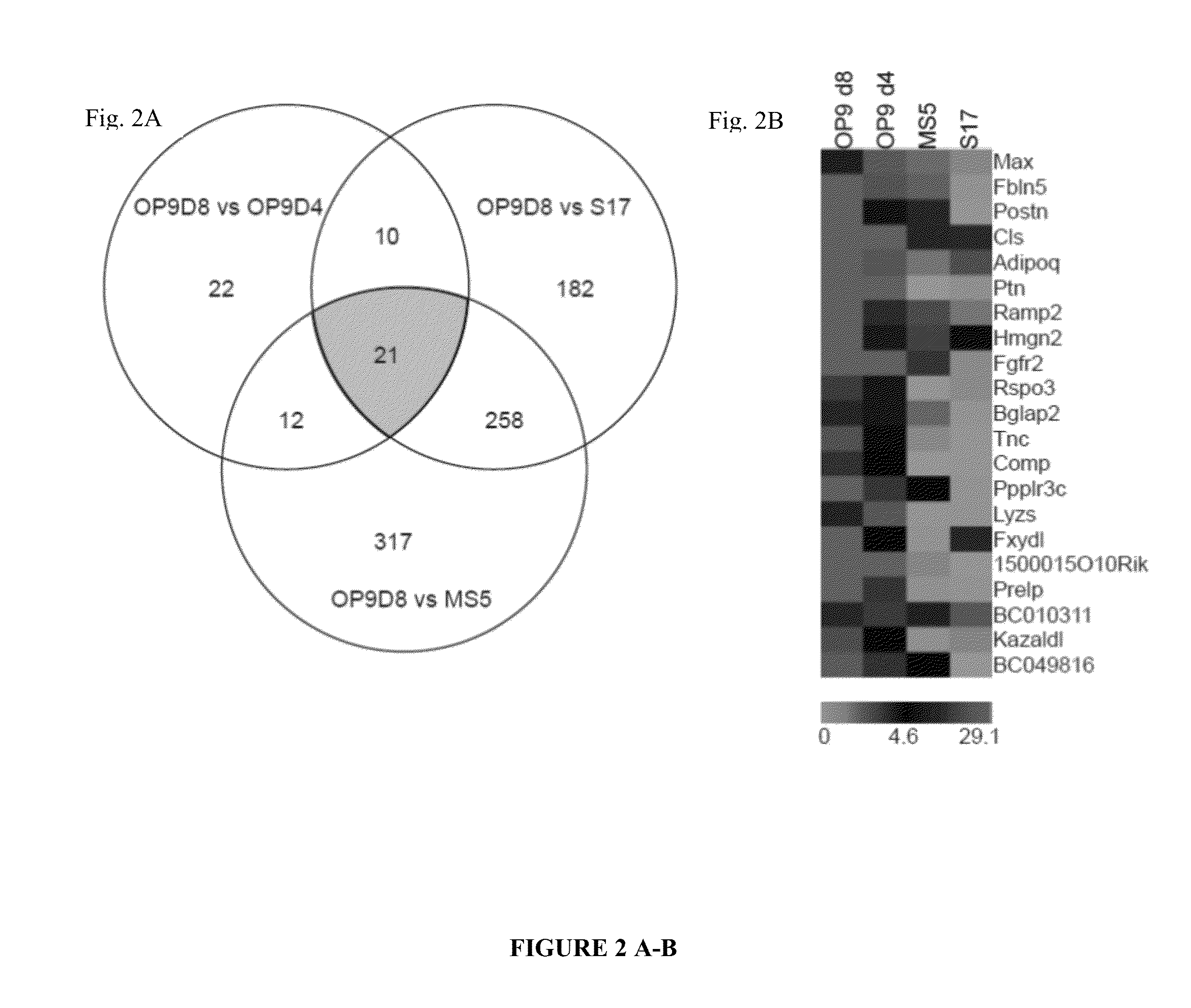 Methods and Materials for Hematoendothelial Differentiation of Human Pluripotent Stem Cells Under Defined Conditions