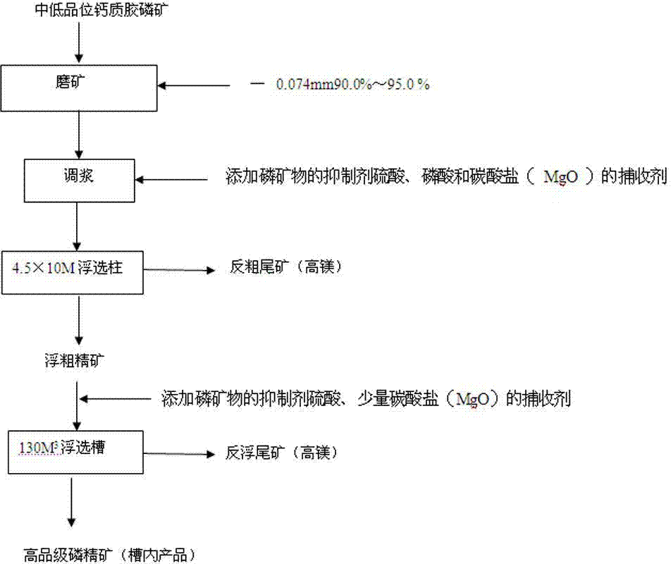 Column-slot combined technology for grading calcium collophanite