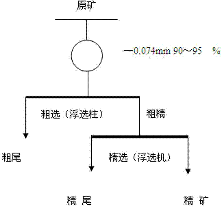 Column-slot combined technology for grading calcium collophanite