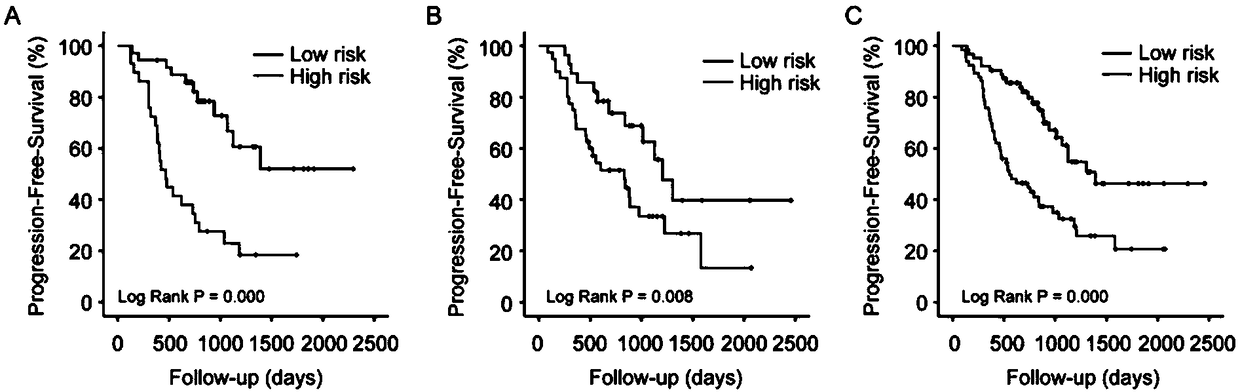 Application of miRNA in preparation of chemotherapy drug resistance evaluation kit for high-grade serous epithelial ovarian cancer