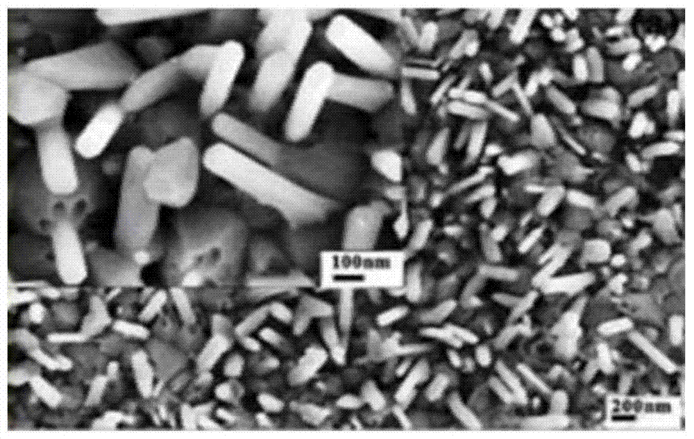 A kind of preparation method of spongy graphene/zinc oxide hybrid structure flexible gas sensor