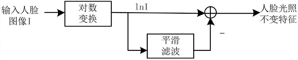 Illumination invariant face feature extraction method by means of logarithmic transformation and smoothing filtering