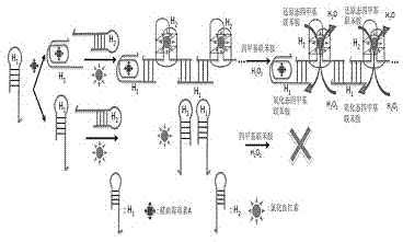 Method for constructing alkaline/surfactant/polymer compound system detecting probe