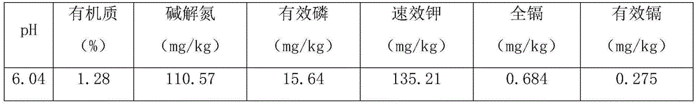 Soil repairing agent and preparation method thereof