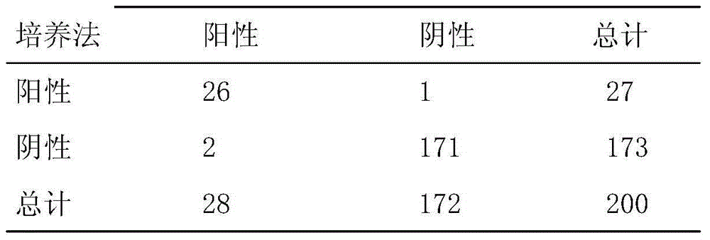 Rapid human respiratory syncytial virus detection method and kit based on magnetic separating and quantum dot labeling