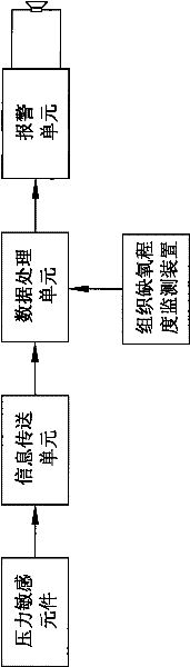 Bedsore-proof early warning device