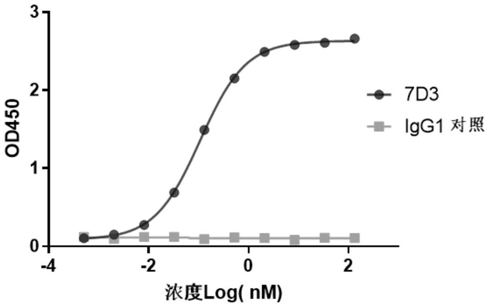 Anti-tigit antibodies and uses thereof