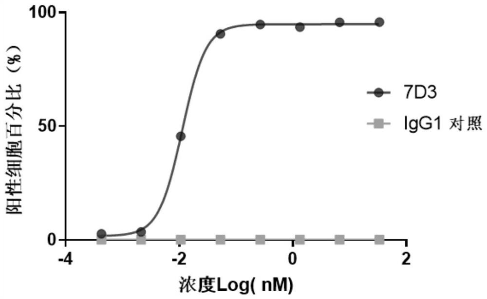 Anti-tigit antibodies and uses thereof