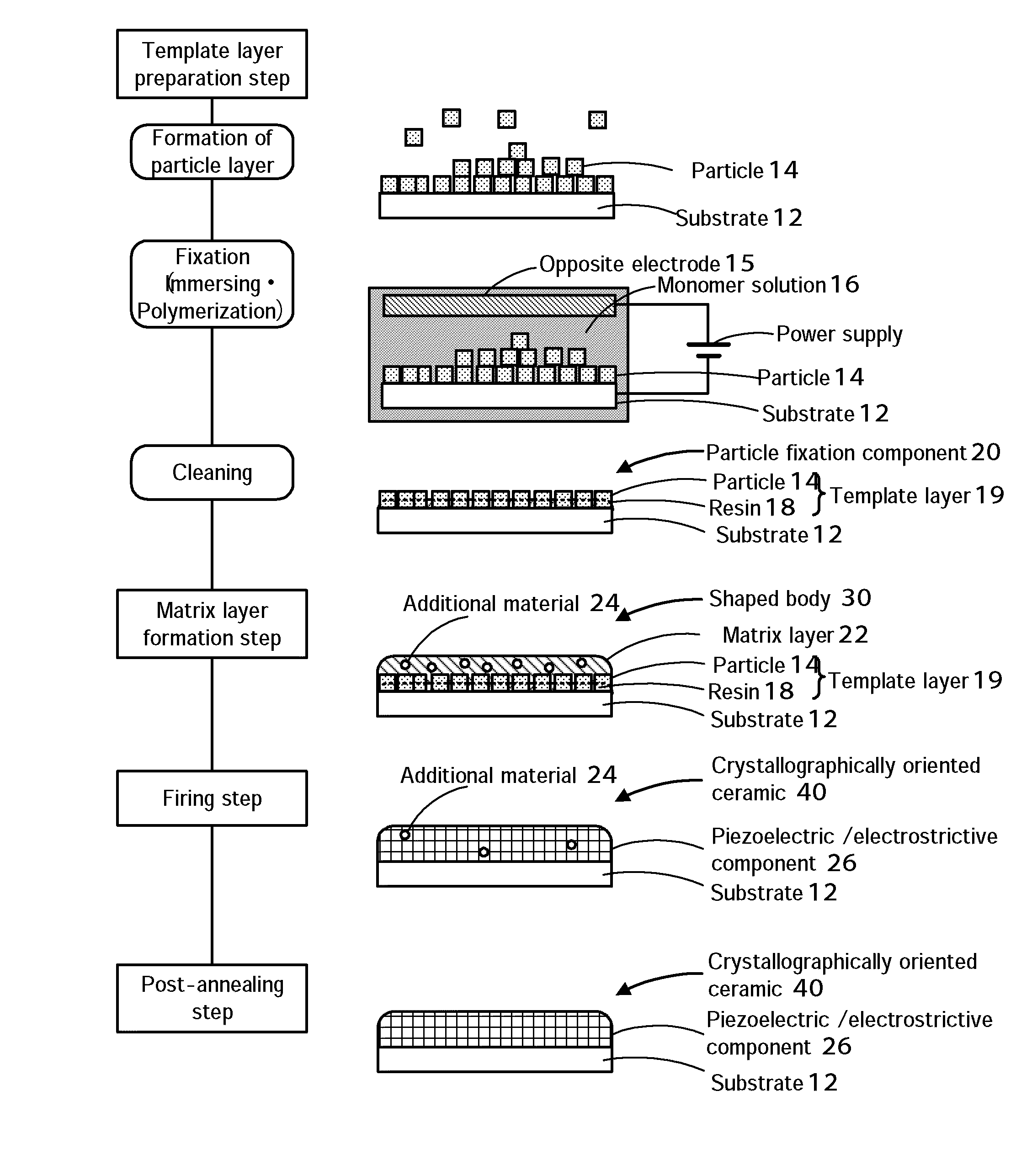 Method for producing crystallographically oriented ceramic