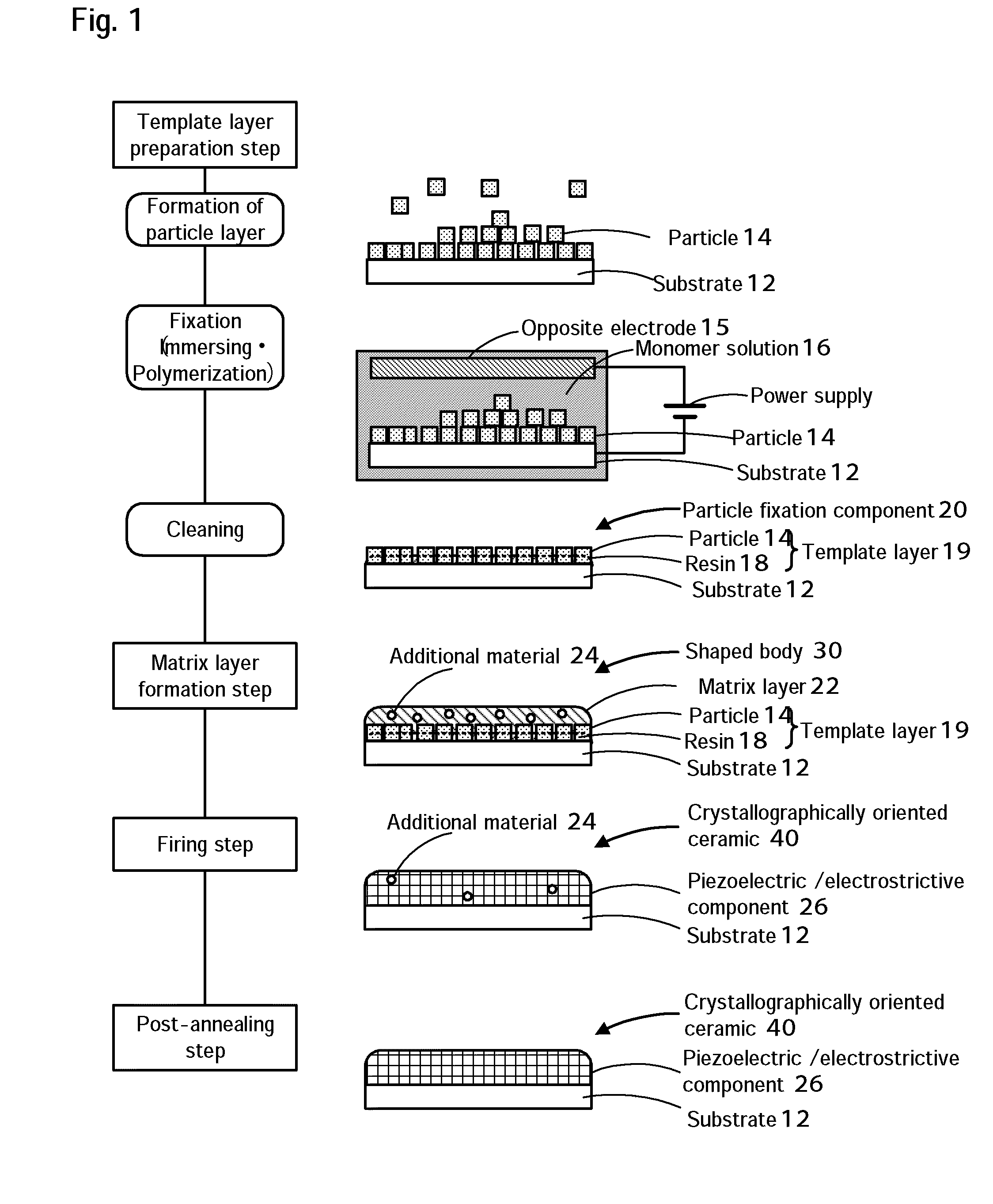 Method for producing crystallographically oriented ceramic