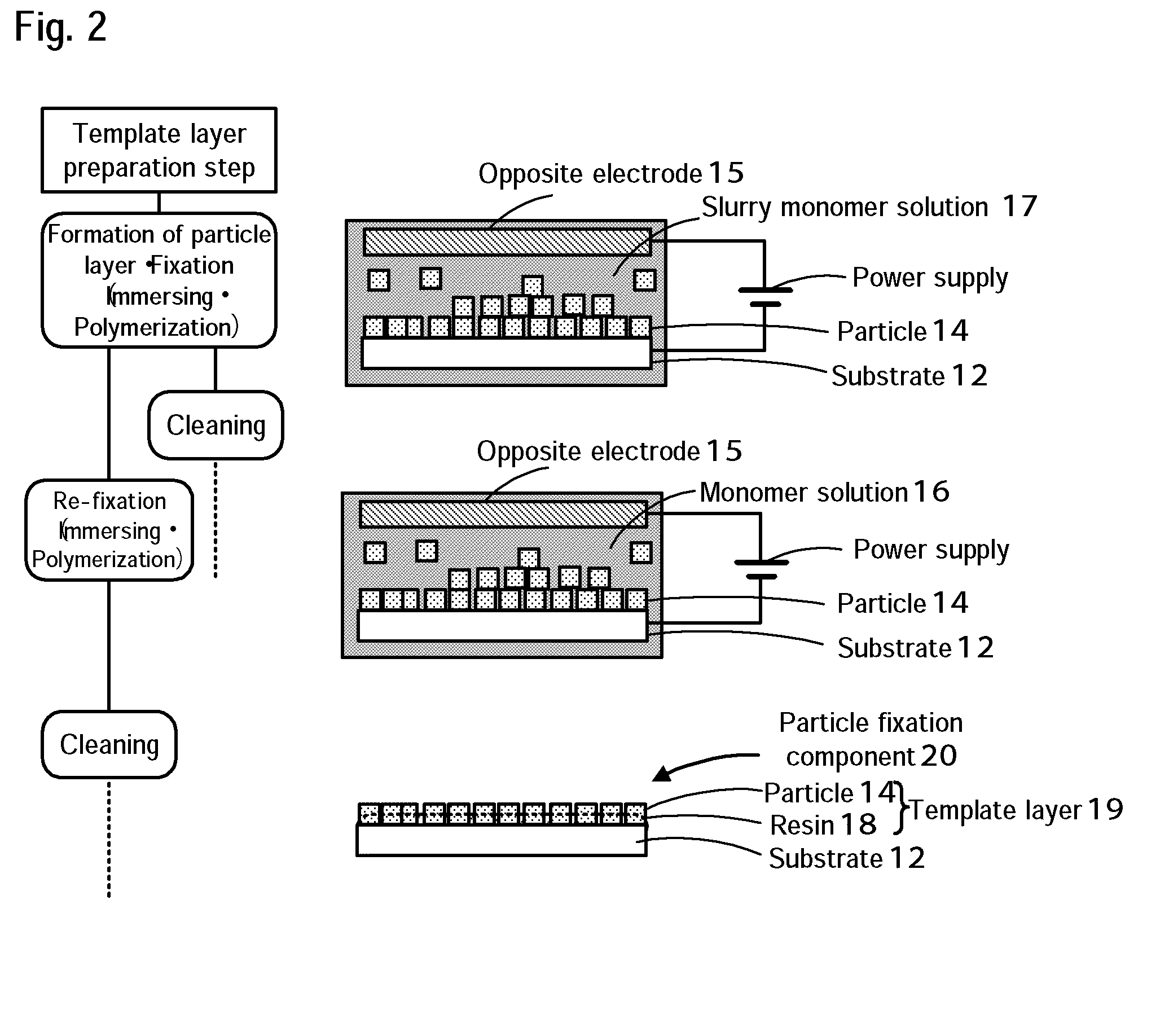 Method for producing crystallographically oriented ceramic