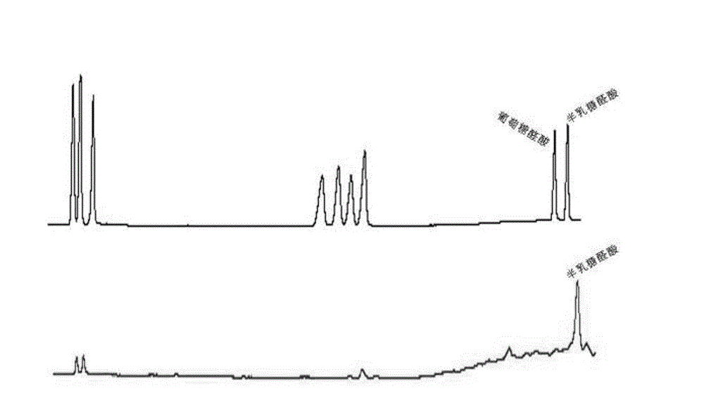 Codonopsis pilosula uniform polysaccharide CPPib, preparation and application thereof