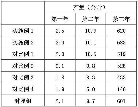 Cultivation method for performing two-time layering on clonal tea seedlings to form high-planting-density tea garden