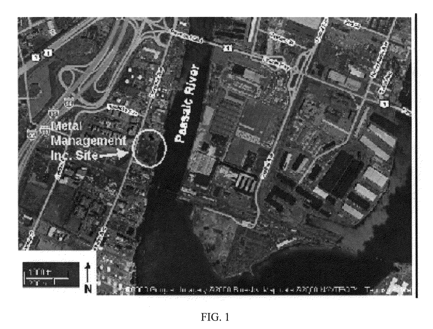 Biogeochemical reactor