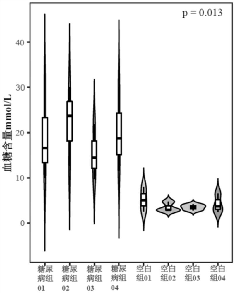 Method for constructing diabetic zebrafish model