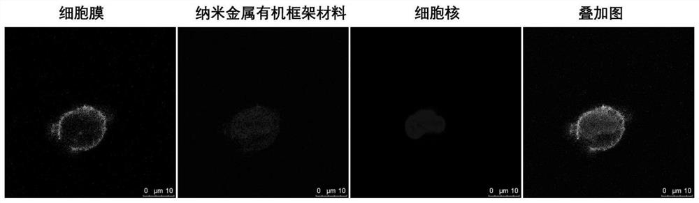 Ultra-small nano metal organic framework material and preparation method thereof