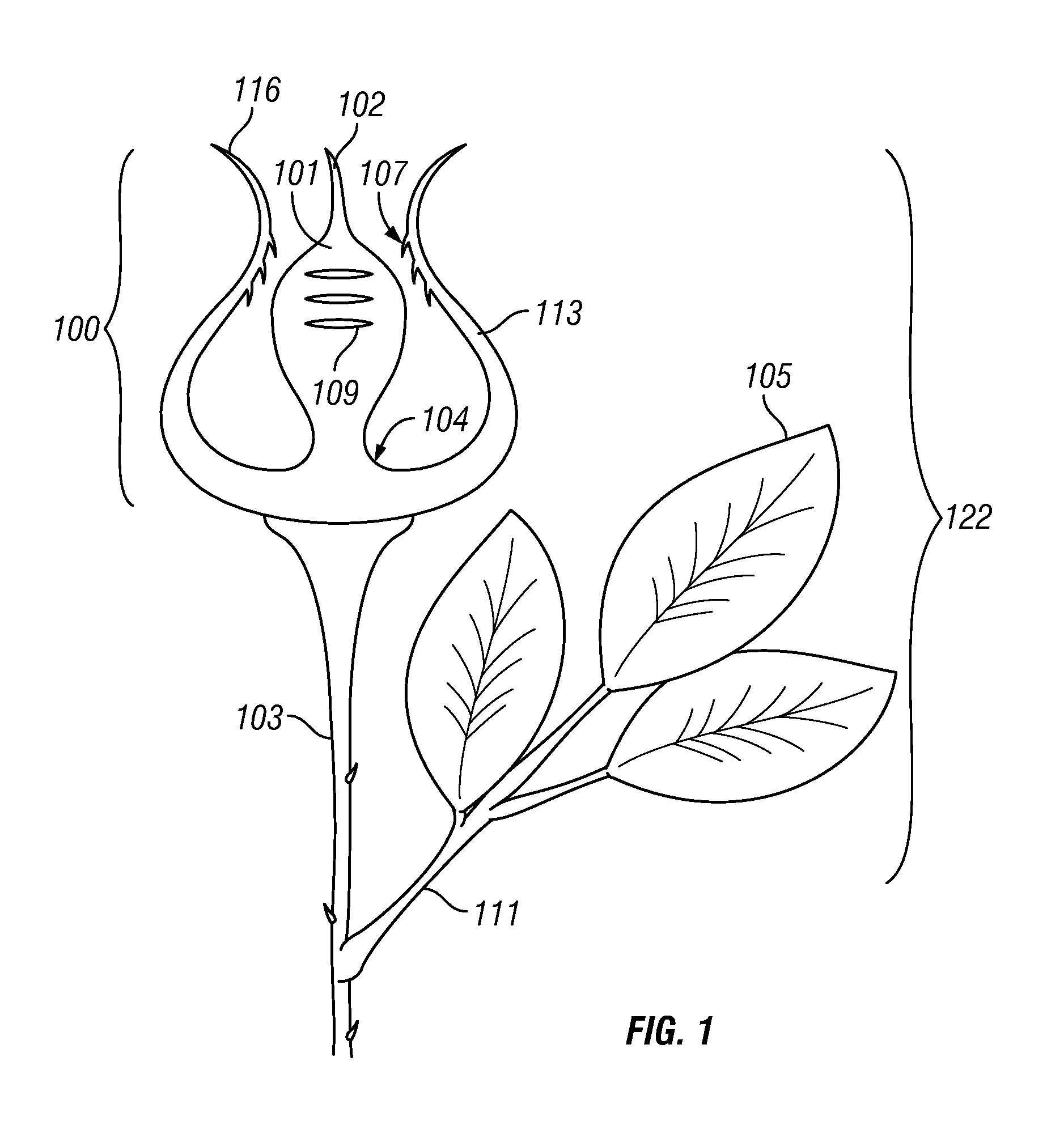 Novel reusable apparatus for affixing gift material to a presentation device