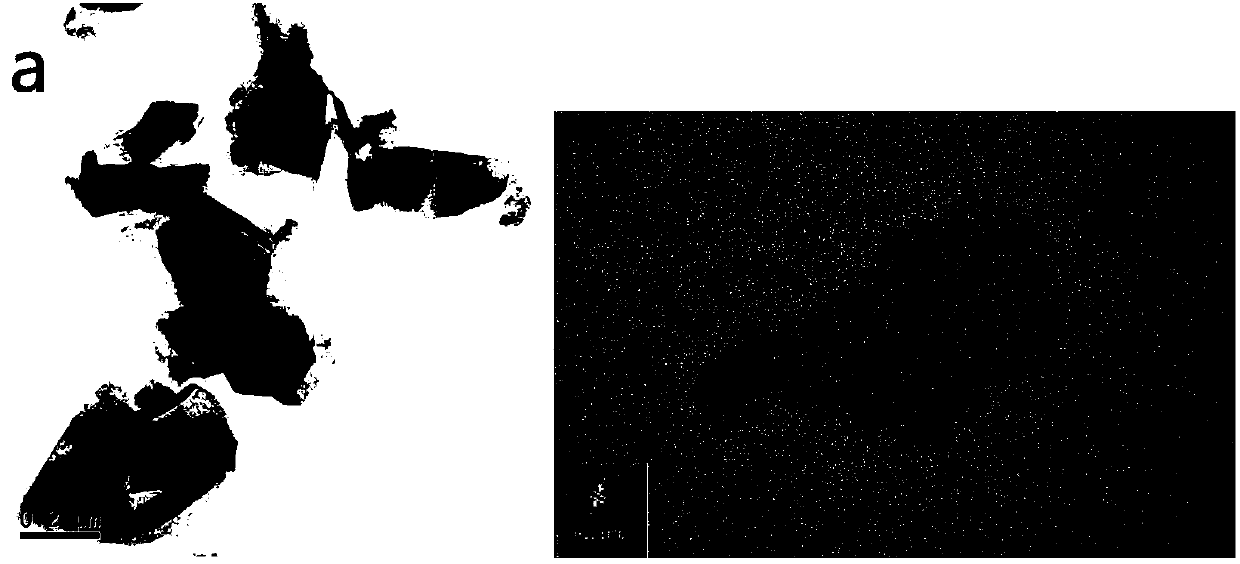 Black phosphorus nanosheet/platinum nanoparticle composite material as well as preparation method and application thereof