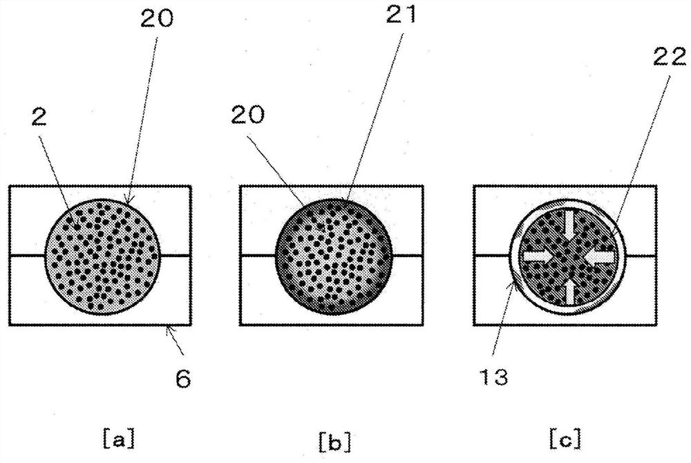 Fiber-reinforced molded article and method for producing same