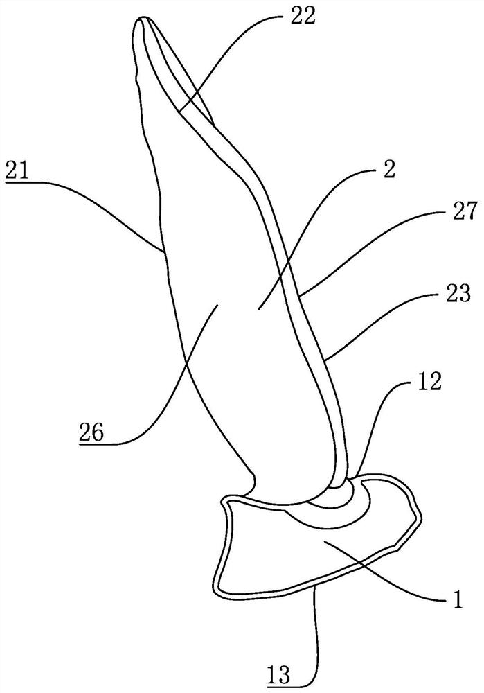 Positioner for orbital wall decompression surgery under endoscope