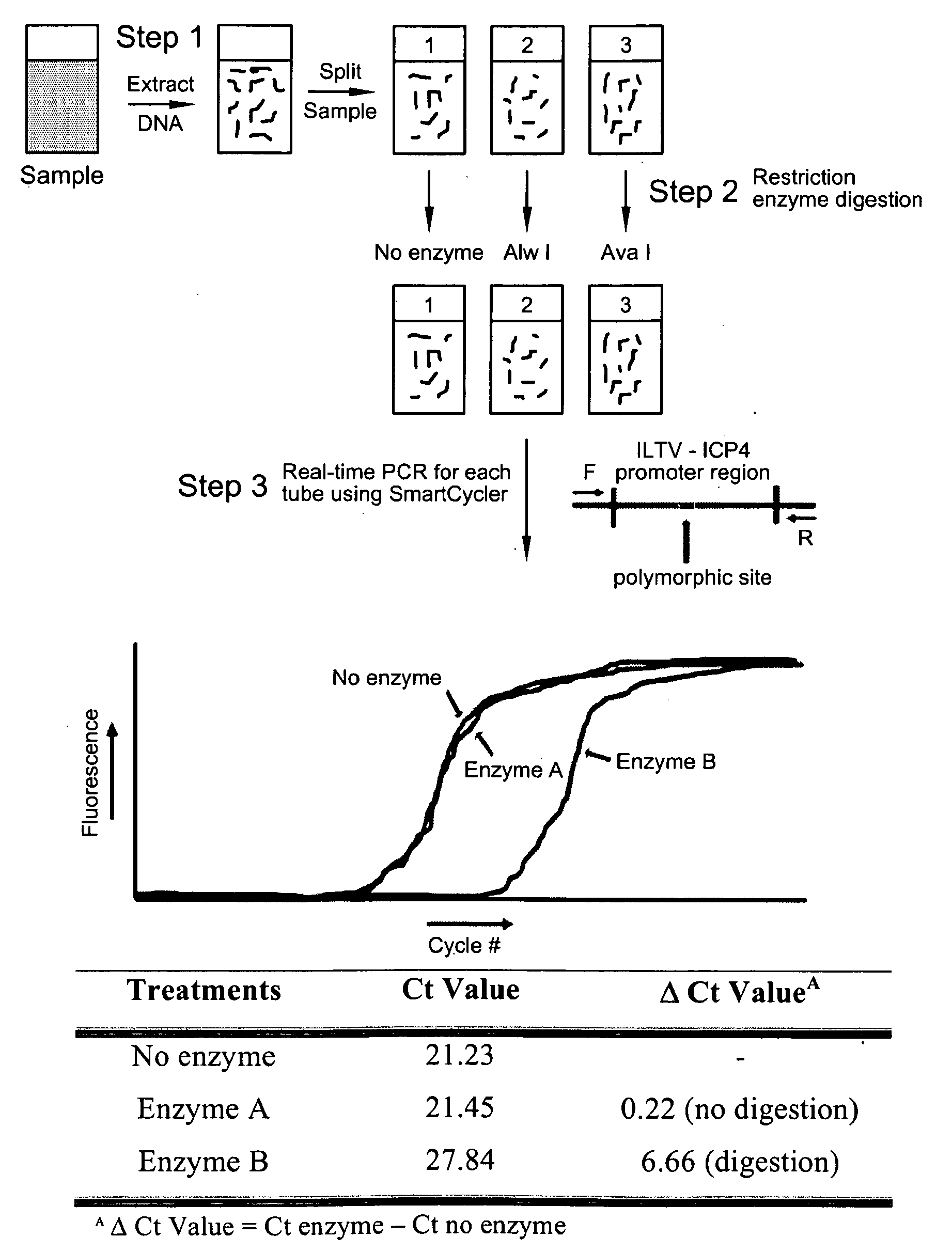 Reverse restriction fragment length polymorphism assay and uses thereof