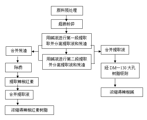 Method for extracting capsorubin and capsaicin from chillies