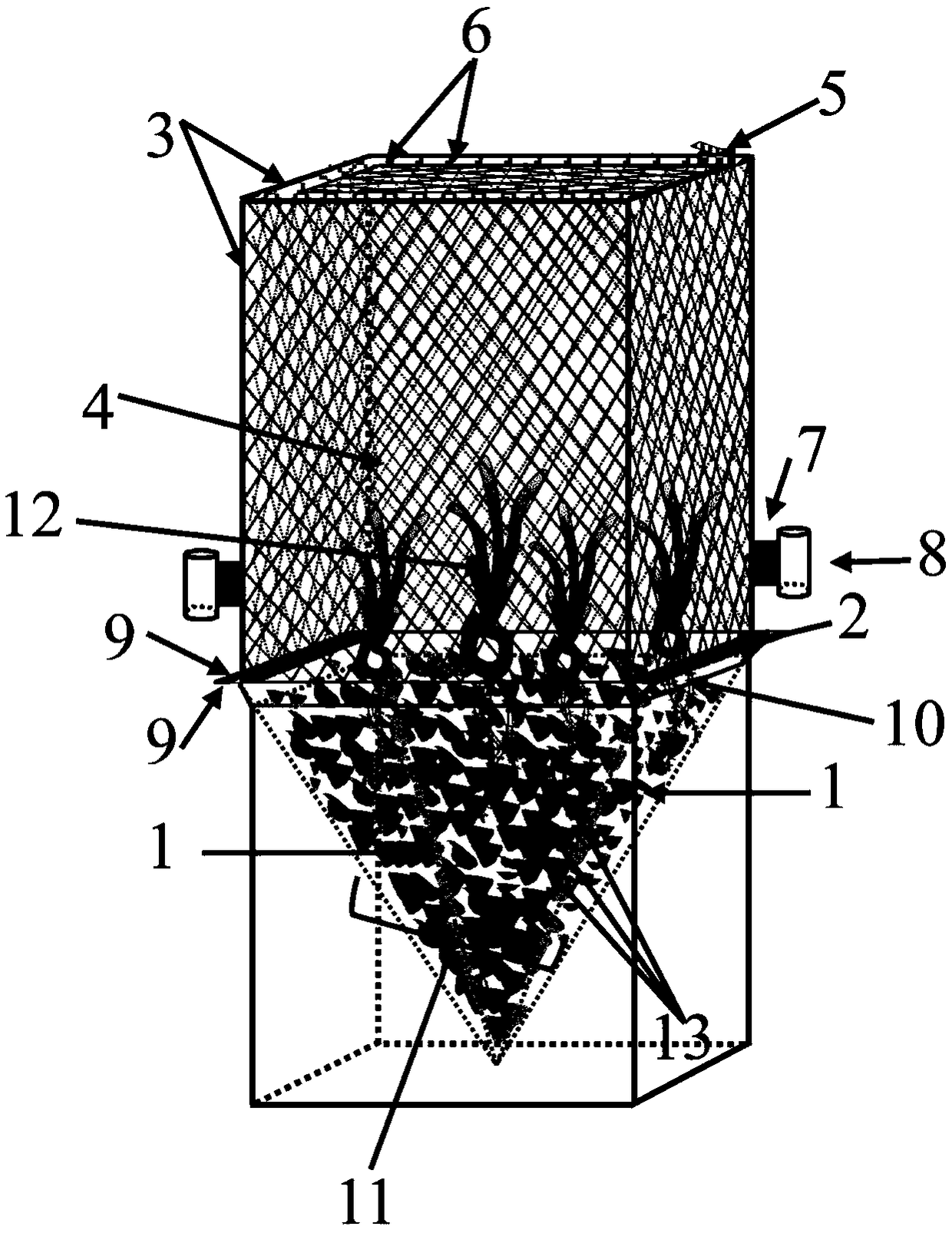 Sea-weed seedling transplanting device