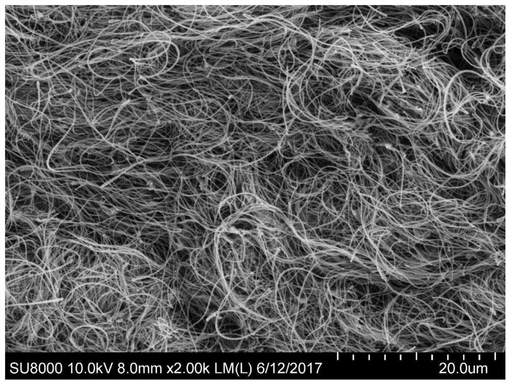 A kind of biological sponge based on decellularized dermal matrix and its preparation method