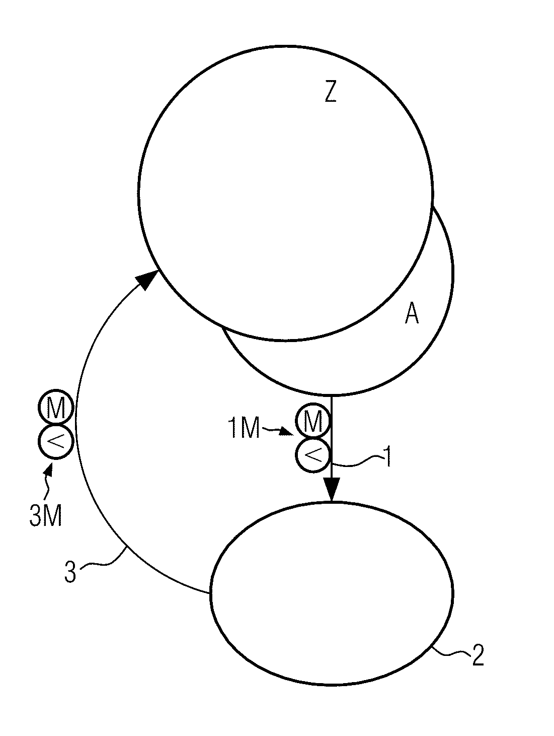 Pasteurization system with purification of the process liquid