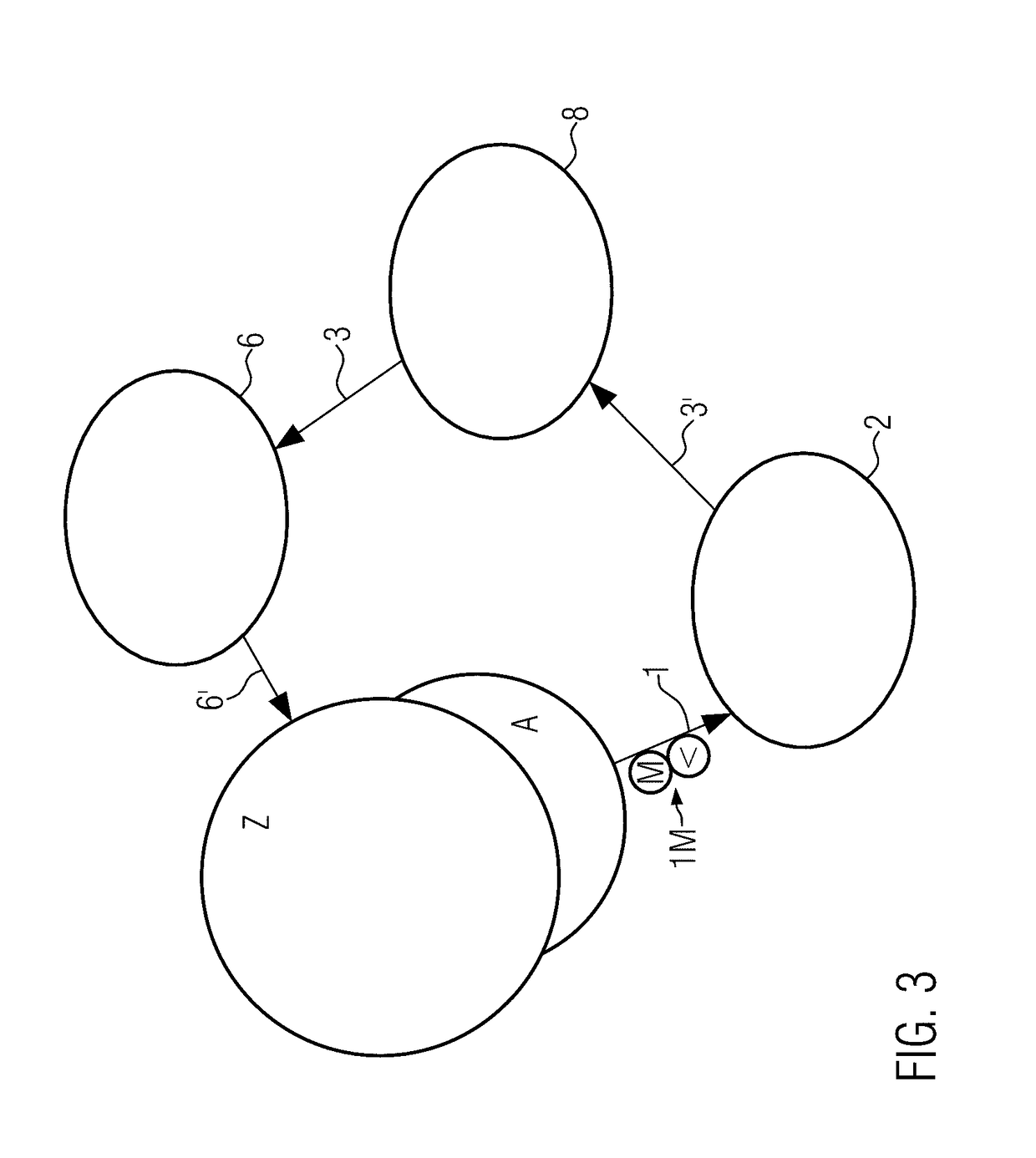 Pasteurization system with purification of the process liquid