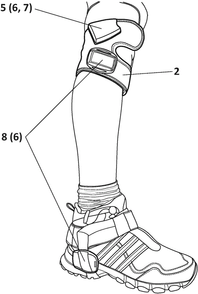 System and method for functional electrical stimulation