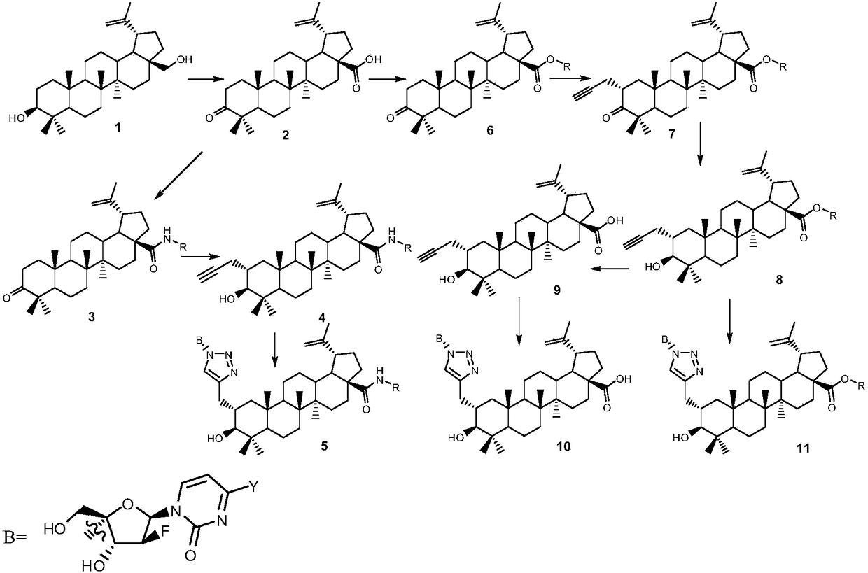 Betulinic acid derivative and synthesis method and application thereof