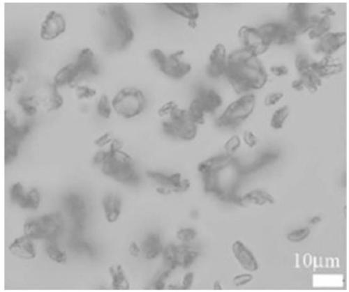 Polyethylene glycol/cellulose triacetate phase change microcapsule and preparation method thereof