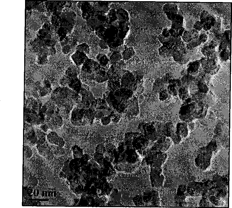 Preparation method of fluorine and lanthanum co-doped nano titanic oxide visible light photocatalyst