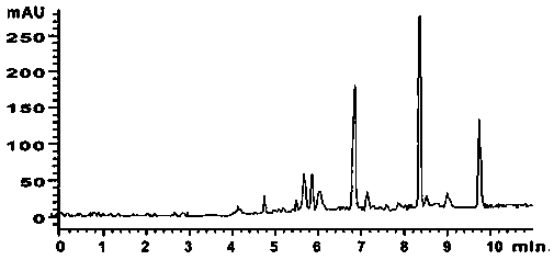 Long-noded pit viper capillary electrophoresis DNA fingerprint spectrum and identification method