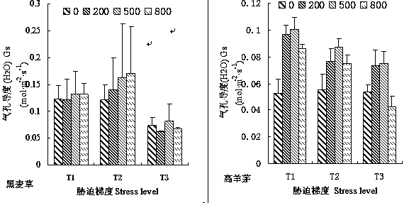 Method for increasing water use efficiency of drought mixed matrix lawn plants by adopting rare-earth cerium