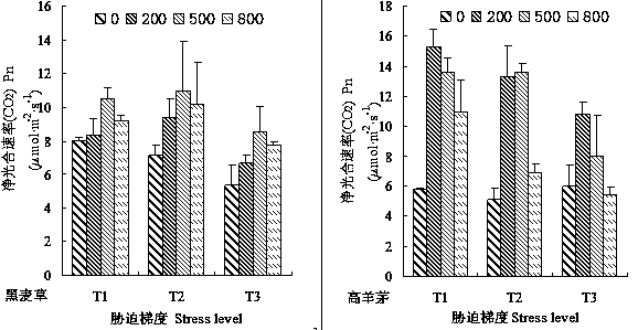 Method for increasing water use efficiency of drought mixed matrix lawn plants by adopting rare-earth cerium