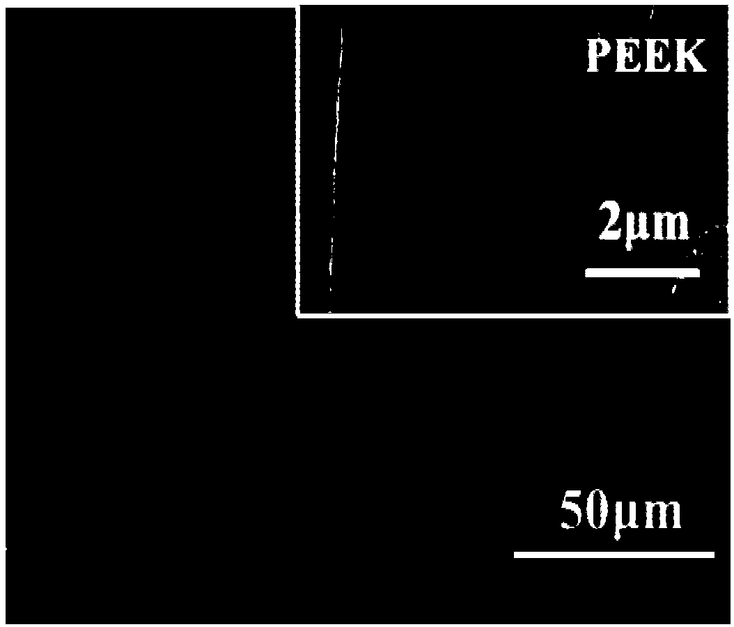 Method for preparing PEEK biological coating and PEEK biomaterial