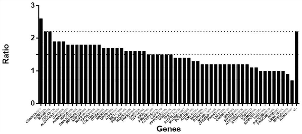 hla-a2-restricted bladder cancer neoantigen peptide sequence and its application