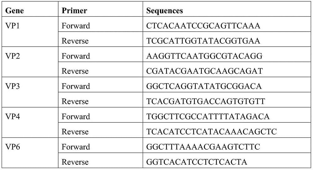 Human-derived rotavirus attenuated strain with wide-spectrum immunogenicity and vaccine prepared from human-derived rotavirus attenuated strain