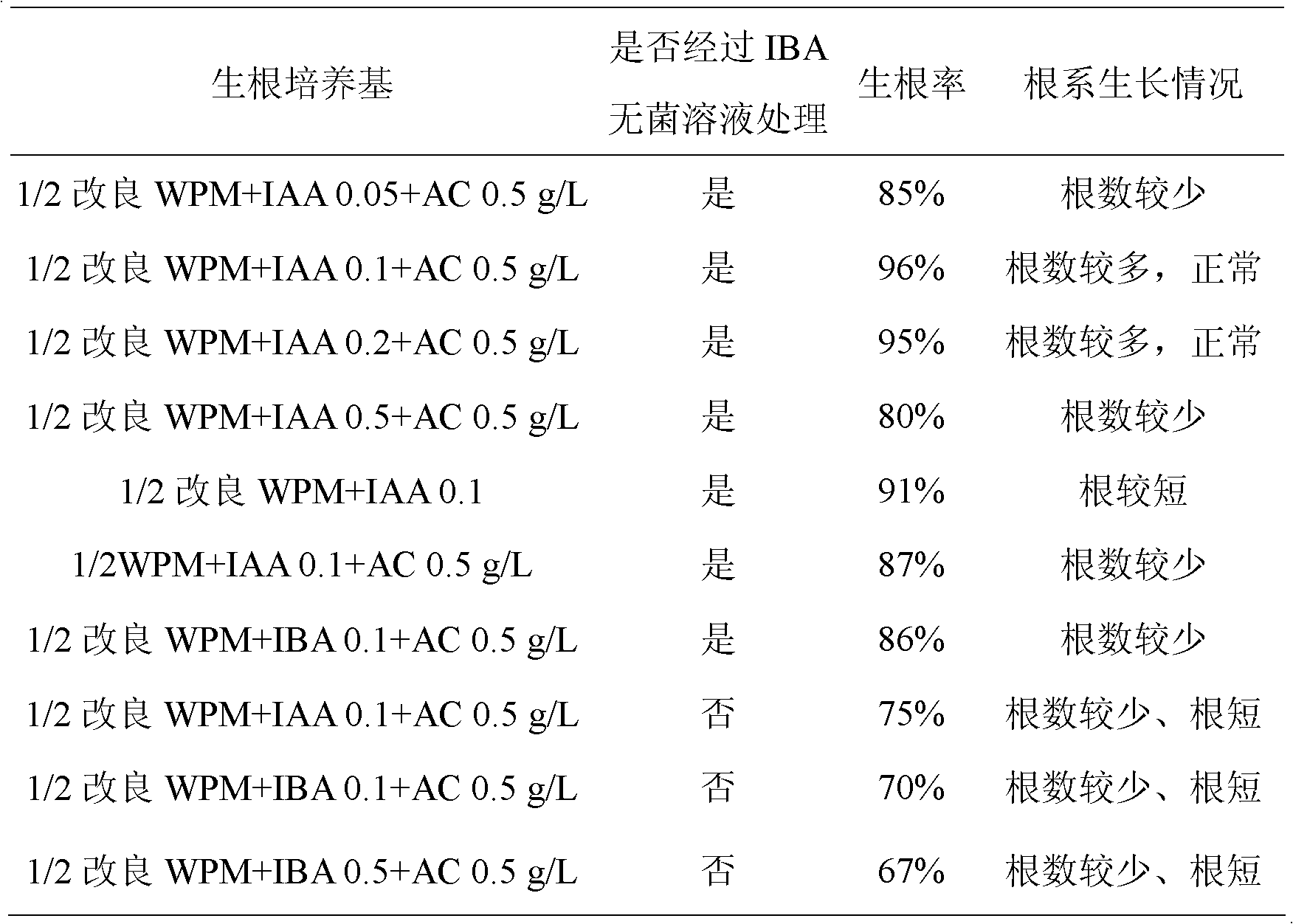 High-efficiency rapid rabbit-eye blueberry breeding method through tissue culture