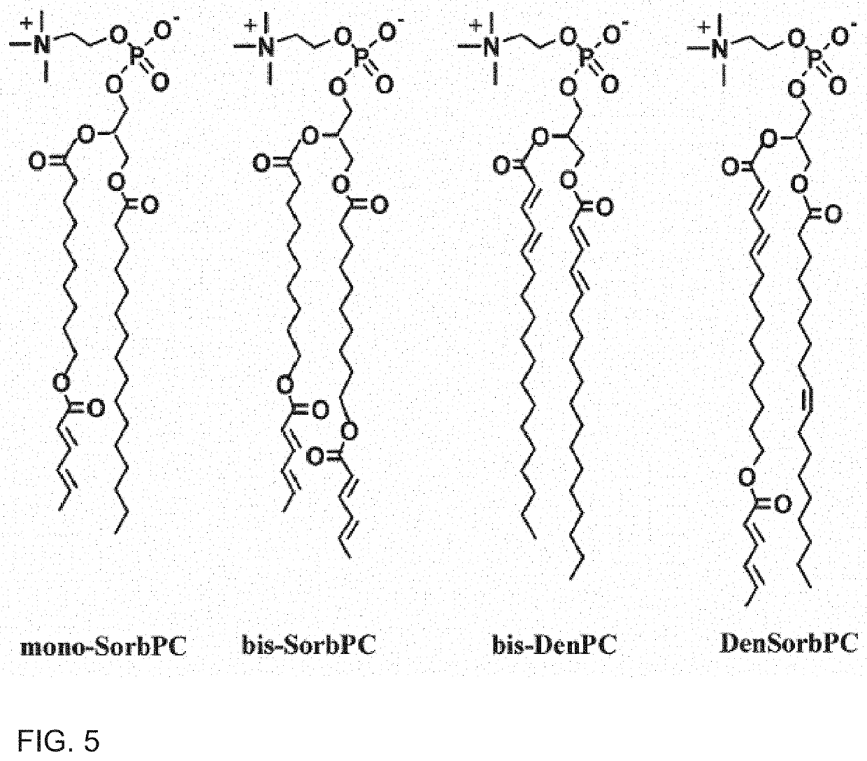 Stabilized vesicle-functionalized microparticles for chemical separations and rapid formation of polymer frits in silica capillaries using spatially-defined thermal polymerization