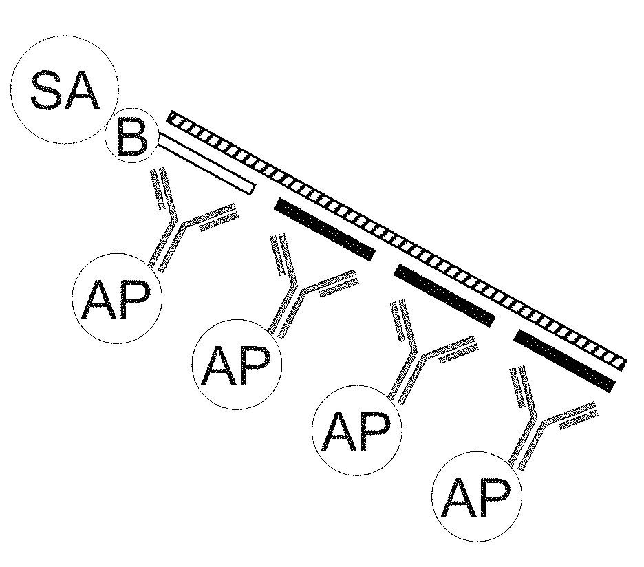 Non-target amplification method for detection of RNA splice-forms in a sample