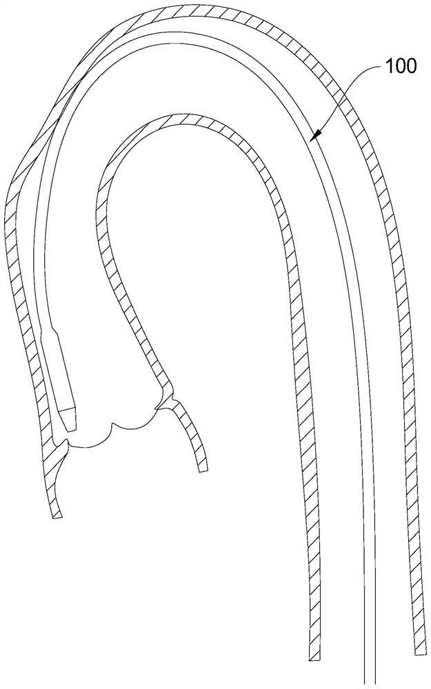 Portable valve conveying system with head end capable of being bent